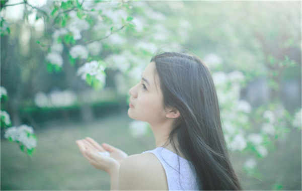 沔城回族镇验血查男女几周可以验(验血查男女结果图)